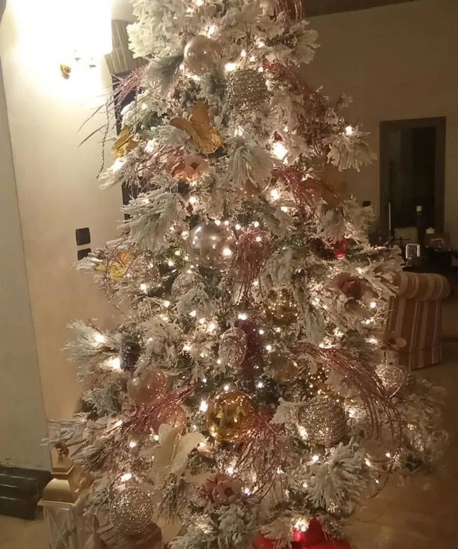 B&B Villa delle palme Carpi 3*,  Italia